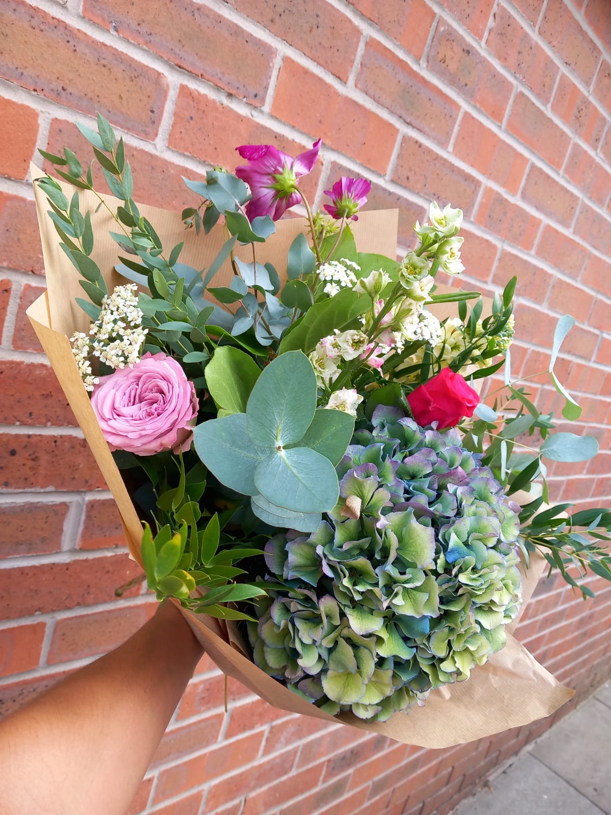 Northern Lights Florist Choice